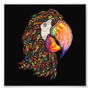 Impression Photo Perroquet