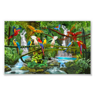 IMPRESSION PHOTO PERROQUETS AU PARADIS