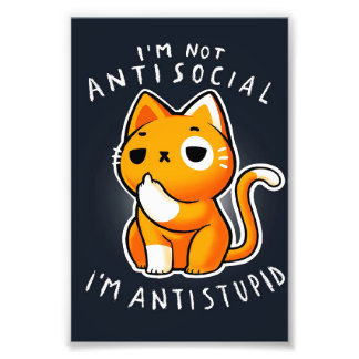 Impression Photo Petit Cadeau Kitty Chat| Chat Pour Anniversaire