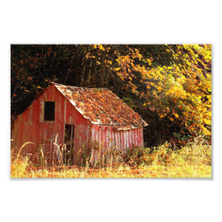 Impression Photo Petit Rouge.
