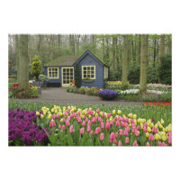Petite boutique de fleurs de cottage, jardins de K