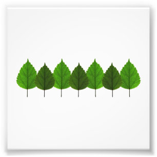 Impression Photo Petite forêt verte heureuse de feuille d'arbre