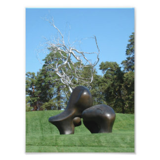 Impression Photo Pièce de mouton et arbre