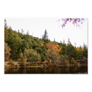 Impression Photo Pin sauvage - Crique
