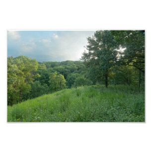 Impression Photo Pine Bend Bluff Surplombant Vallée Bois