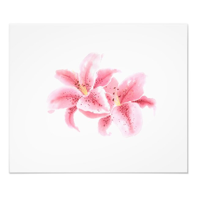 Impression Photo Pink Stargazer Lys Aquarelle (Devant)