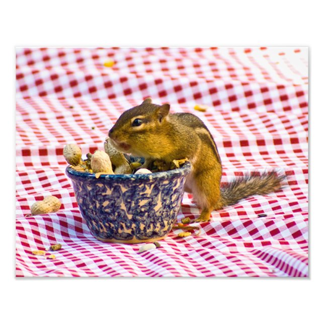 Impression Photo Pique-nique Chipmunk (Devant)