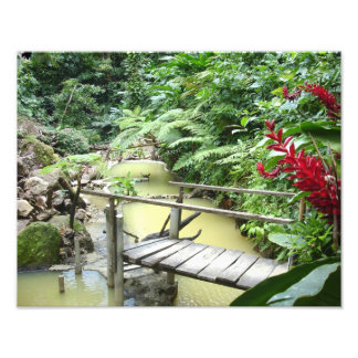 Impression Photo piscines Dominica Sulpher