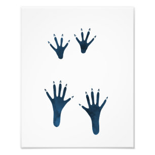 Impression Photo Pistes de rats bleus foncés