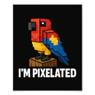 Impression Photo Pixel Pixel Pixel Pixel Parrot Pixelé De La Jungle