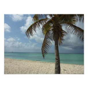 Impression Photo Plage d'Aruba I Belle Scène Nature