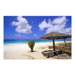 Impression Photo Plage de Coco Point, Barbuda, Antigua