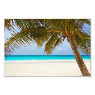Impression Photo Plage du Paradis tropical