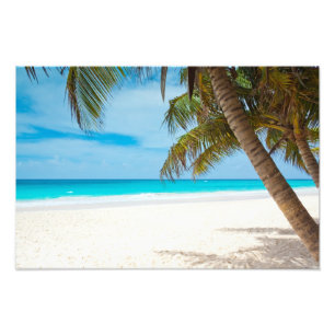 Impression Photo Plage du Paradis tropical