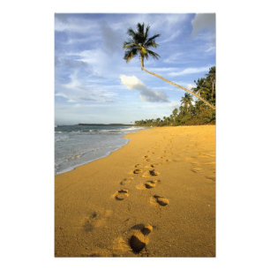 Impression Photo Plage Porto Rico