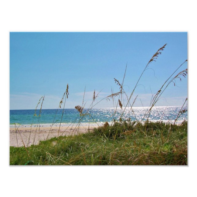Impression Photo Plage tropicale et avoine marine (Devant)