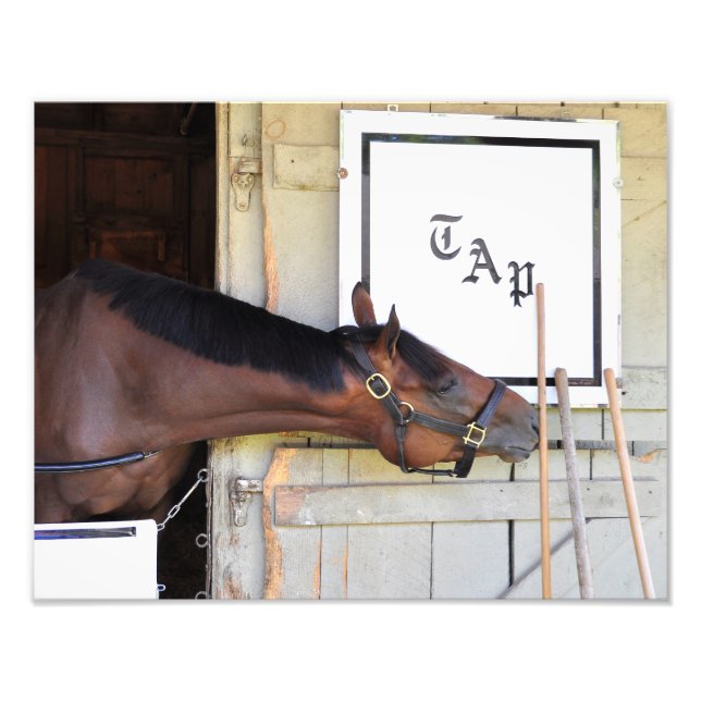 Impression Photo Plan directeur (Devant)