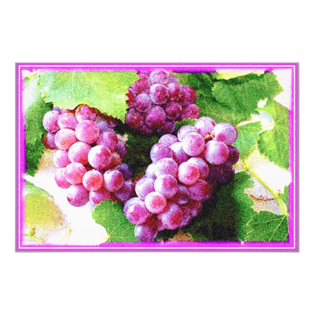 Impression Photo "Plante de fruits de raisins" jolie photo. Command (Devant)