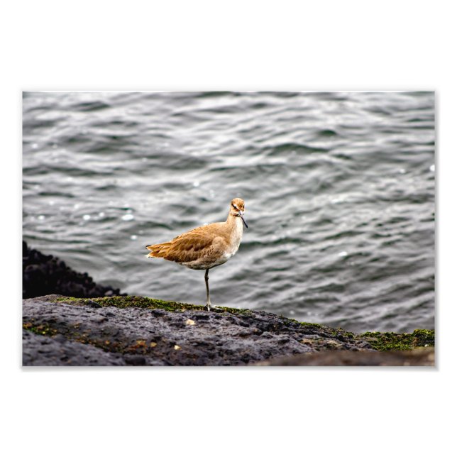 Impression Photo Playa Del Rey (Devant)