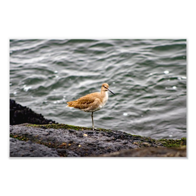 Impression Photo Playa Del Rey (Devant)