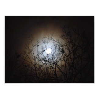 Impression Photo Pleine lune