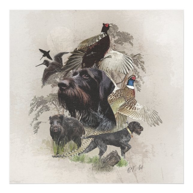 Impression Photo Pointeur À poils durs allemand (Devant)