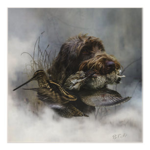 Impression Photo Pointeur à poils durs Griffon, Chasse à la bécasse