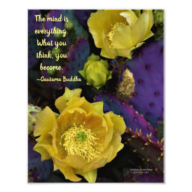 Impression Photo Poire pourpre opuntie cactus fleurs jaunes (Devant)
