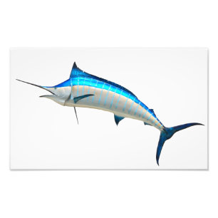 Impression Photo Poissons de jeu de Marlin bleu