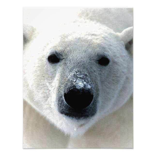 Impression Photo Polar Bear (Devant)
