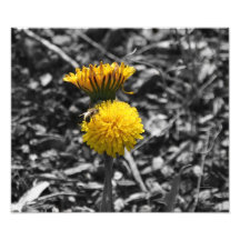 Pollinisation du début du printemps