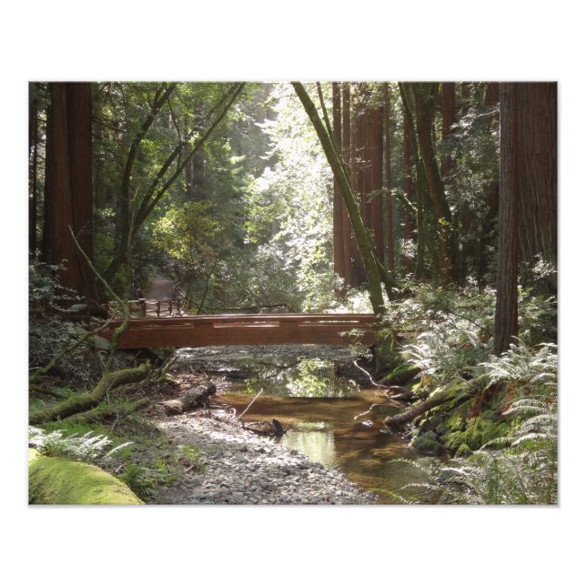 Impression Photo Pont Muir Woods II (Devant)