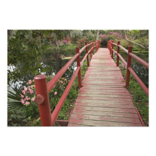 Impression Photo Pont rouge au-dessus de l'étang, Magnolia Plantat
