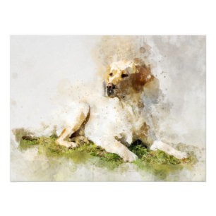 Impression Photo Portrait aquarelle du chien Retriever du Labrador 