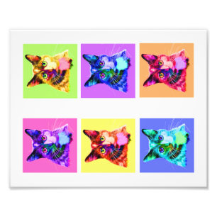 Impression photo Portrait arc-en-ciel/chat blanc 8