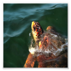 Impression Photo Portrait artistique de la tortue luge