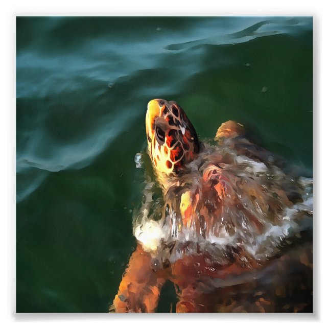 Impression Photo Portrait artistique de la tortue luge (Devant)