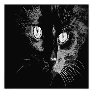 Impression Photo Portrait de chat Noir Artisé au Charbon