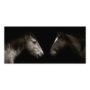 Impression Photo Portrait des chevaux