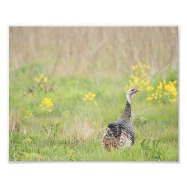 Impression Photo Printemps Turquie Imprimer - 2 (Devant)