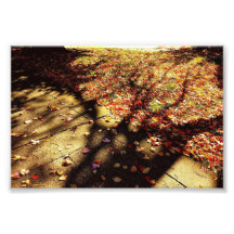 Promenade d'automne