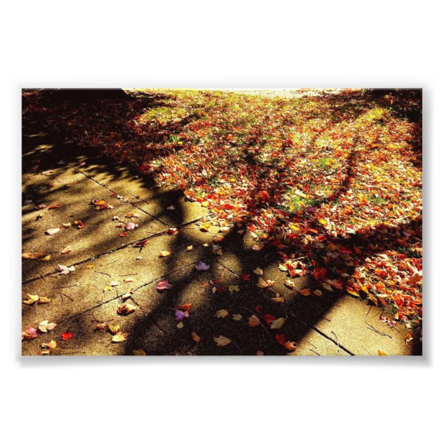 Impression Photo Promenade d'automne (Devant)