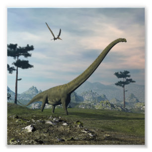 Impression Photo Promenade des dinosaures de Mamenchisaurus -rendu 