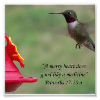 Proverbes des colibris 17:20 Bible Verse Photograp