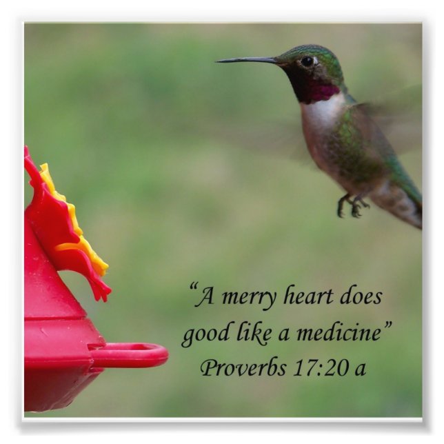 Impression Photo Proverbes des colibris 17:20 Bible Verse Photograp (Devant)