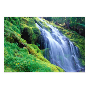 Impression Photo Proxy Falls dans les Cascades centrales de l'Orego