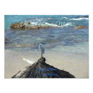 Impression Photo Puerto Vallarta Mexique-Garza Blanca