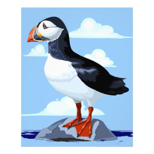 Impression Photo Puffin Cute Oiseau de mer Atlantique