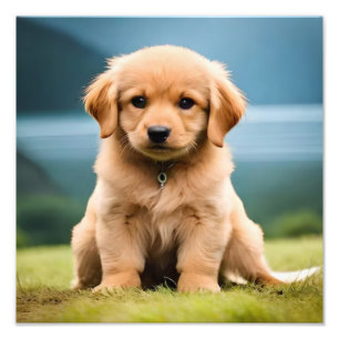 Impression Photo Puppy Nursery & Children's Room Prints