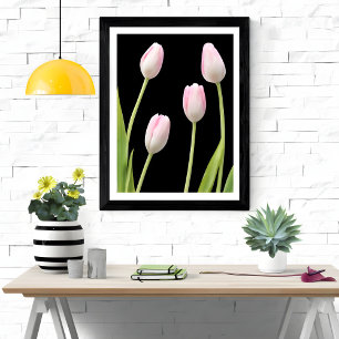Impression Photo Quatre tulipes roses sur le noir